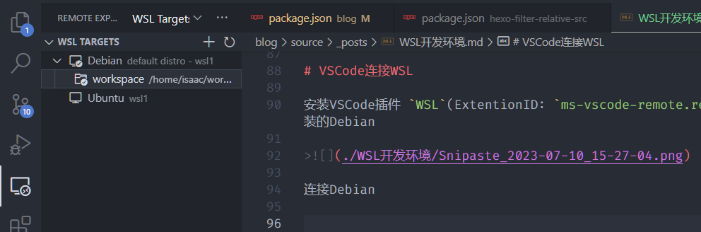 WSL 插件连接结果